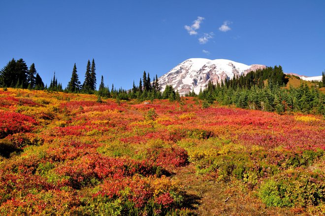 Narodni park je jeseni čudovit, a poln pasti. FOTO: Mulika82/Getty Images