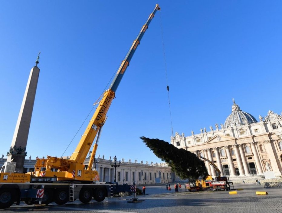 Fotografija: Slovenija je letos poskrbela za božično dekoracijo Vatikana. Projekt postavitve je državo stal 100.000 evrov. FOTO: Vatican News, posnetek zaslona