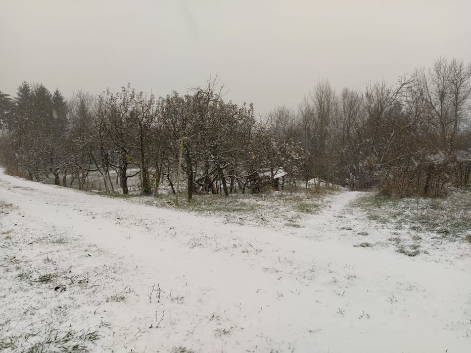 Fotografija: Sneg je ponekod že pobelil pokrajino. FOTO: Bralka poročevalka