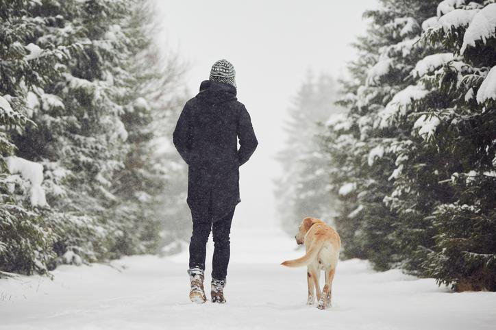 Fotografija: Sprehod v mrazu je dober za dušo in telo. FOTO: Thinkstock