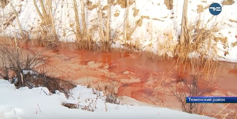 Fotografija: Rdeča reka v Rusiji. FOTO: Youtube