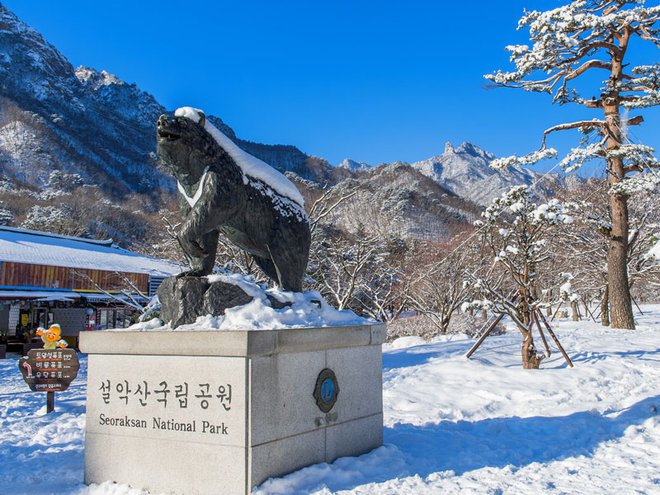 Ob prihodu v nacionalni park Seoraksan vas pričaka ta kip.