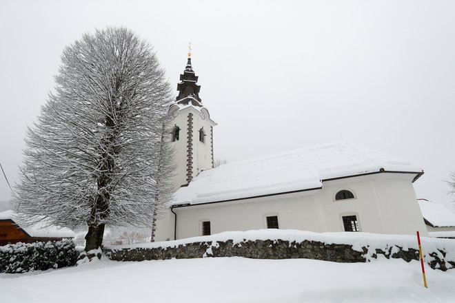Dobravška lepotica v snegu Foto: Marko Feist