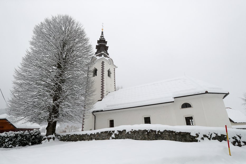 Fotografija: Dobravška lepotica v snegu Foto: Marko Feist