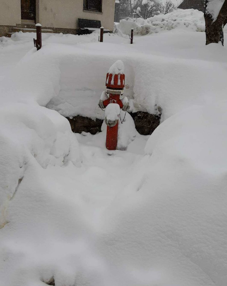 Fotografija: Hidranti v snegu. FOTO: Facebook