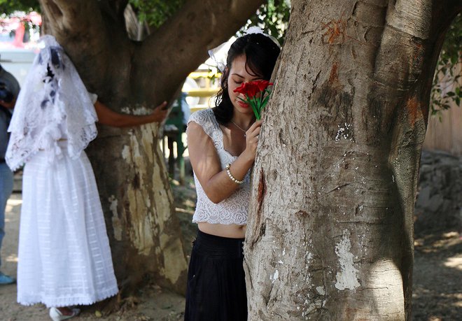 Bo poroka ohranila gozdove? FOTO: Afp