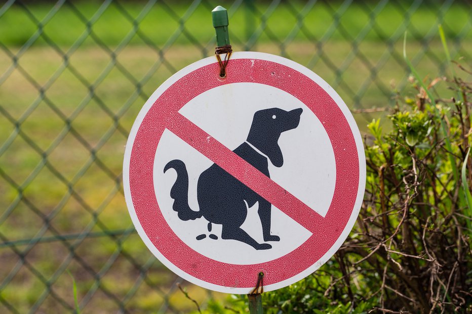 Fotografija: Pobiranje iztrebkov za vašim psom je pomembno zaradi zdravstvenih, higienskih in okoljskih vidikov. FOTO: Shutterstock