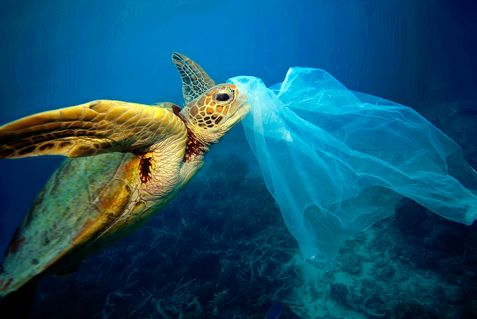 Fotografija: Plastične vrečke obremenjujejo oceane.