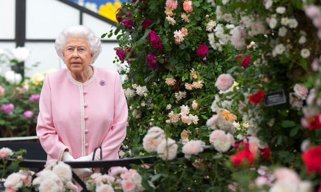Kraljica je z nepremičninami razveselila že dva sinova in zdaj še drugega vnuka. FOTO: AFP