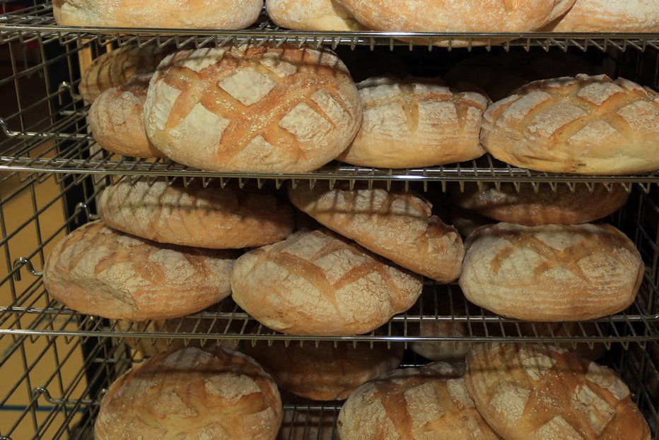 Fotografija: Kmet od maloprodajne cene kruha dobi le pet odstotkov. FOTO: Tadej Regent