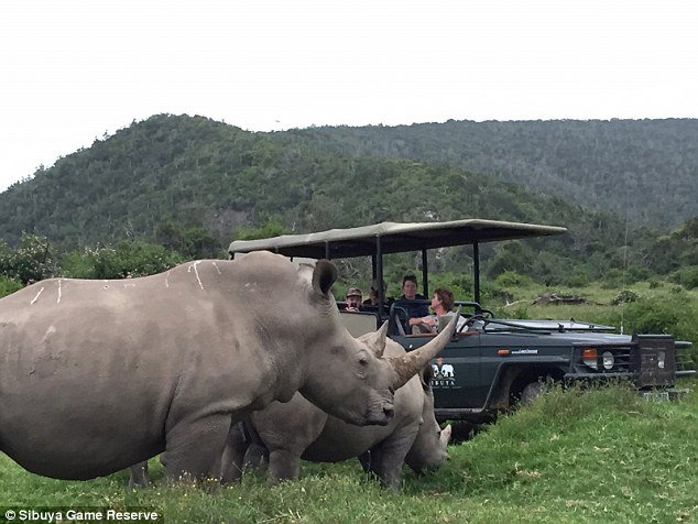 Leta 2016 so v parku ubili tri nosoroge.