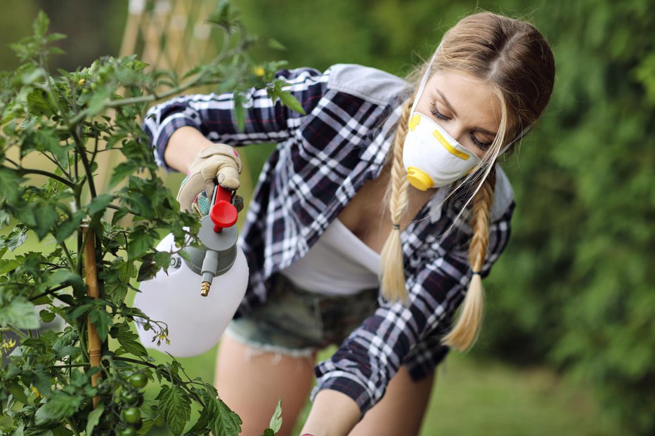 Fotografija: K sreči vedno manj vrtnarjev uporablja strupene snovi. FOTO: Guliver/Getty Images