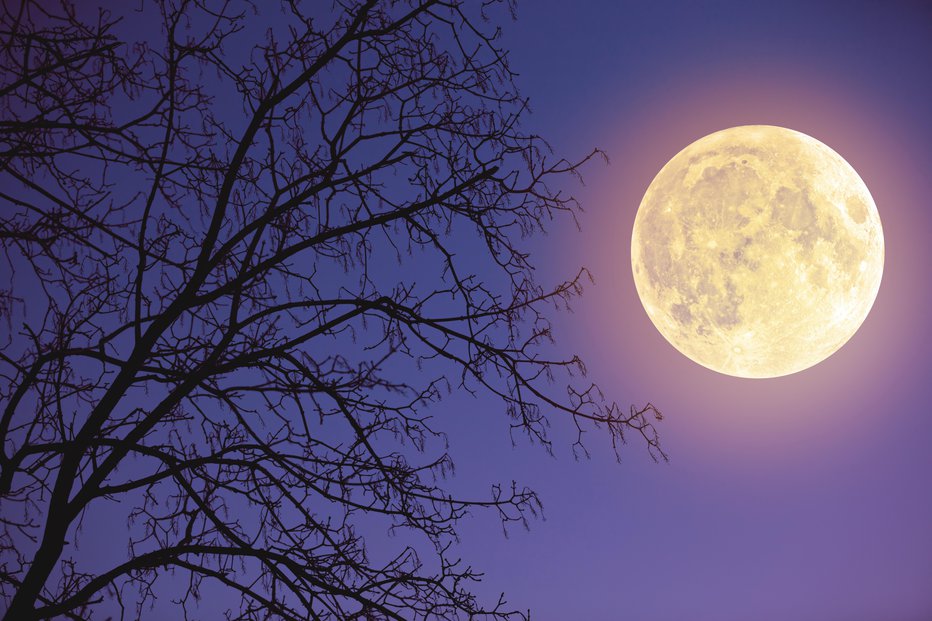 Fotografija: Lunin mrk 27. julija se bo dovršil v znamenju vodnarja ter prinesel veliko napetosti v slovenskih meddržavnih odnosih. FOTO: Guliver/Getty Images