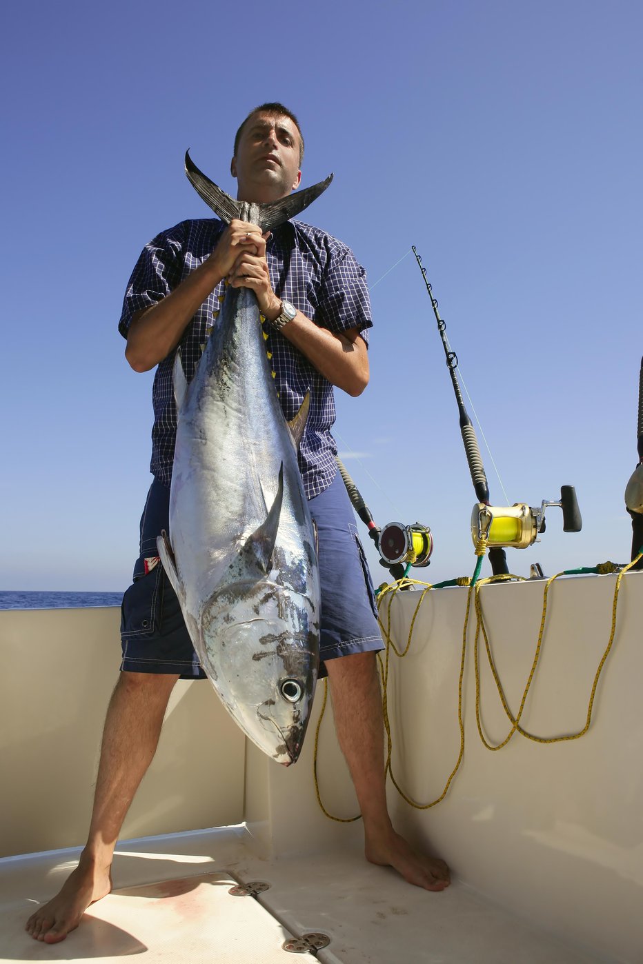 Fotografija: Lov na velike ribe se je začel v ZDA in na Novi Zelandiji. FOTO: Lunamarina Getty Images/Istockphoto