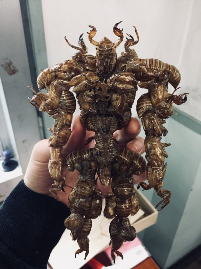 Tale velikan je sestavljen iz 300 škržatov. FOTO: Twitter