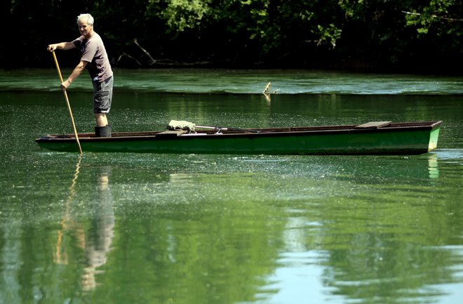 Tudi reka Krka ponuja osvežitev. FOTO: Roman Šipić, Delo