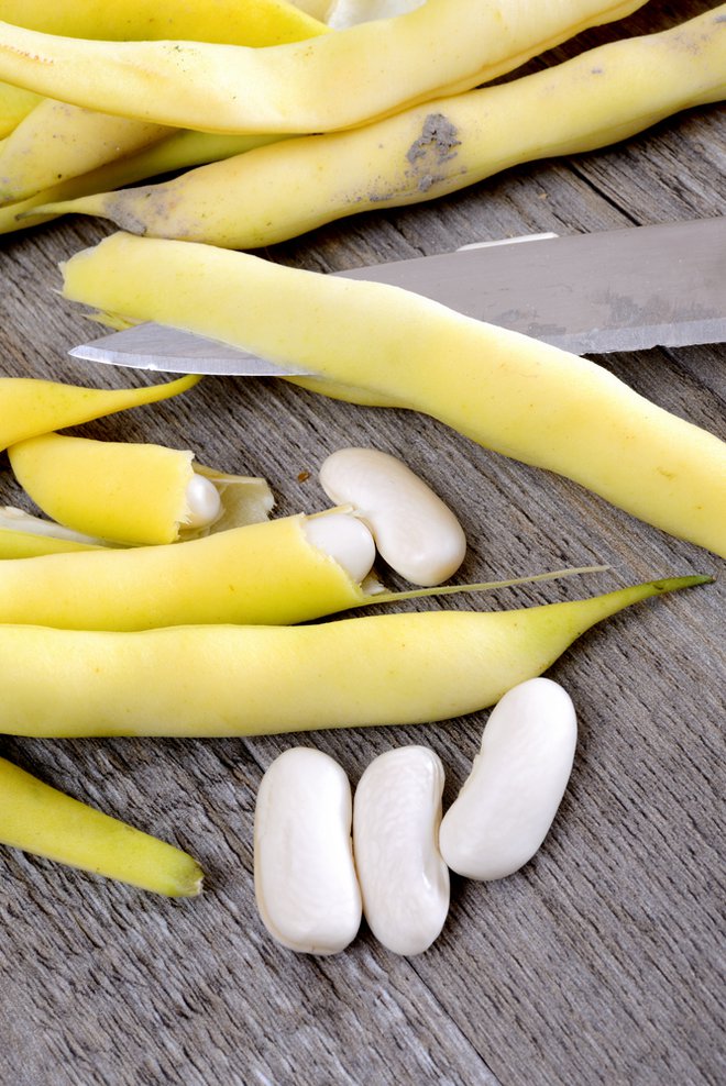 Približno 100 gramov kuhanega stročjega fižola vsebuje 20 mikrogramov vitamina K, brez katerega bi bile naše kosti mehke in krhke kljub prehrani, bogati s kalcijem. FOTO: Arhiv Slovenskih novic