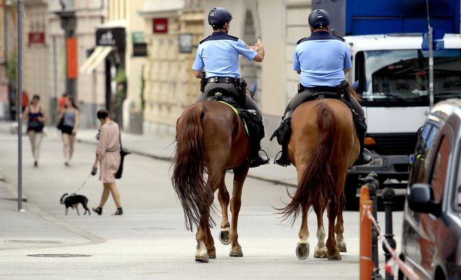 Policija: »Policisti so pri izvajanju prekrškovnih postopkov samostojni v okviru načela zakonitosti, kar je nujno za delovanje pravne države.« FOTO: Roman Šipić, Delo