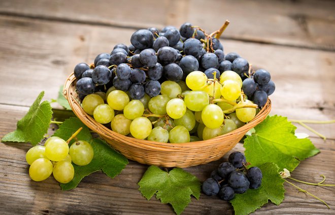 Namizne sorte grozdja imajo praviloma debelejše jagode. FOTO: Getty Images/istockphoto