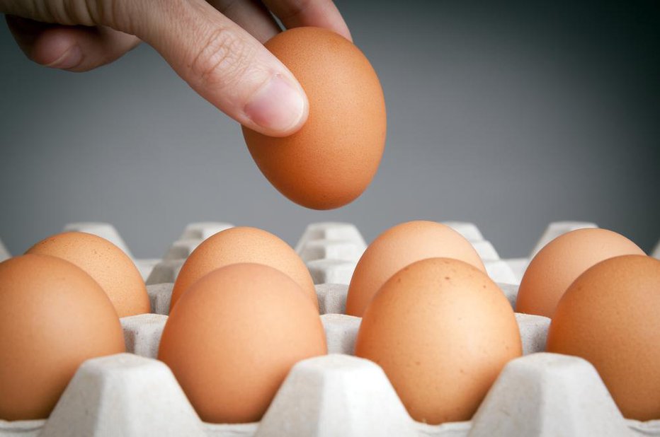 Fotografija: Kako shranjevati jajca? FOTO: Shutterstock