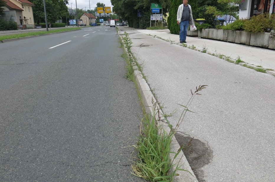 Fotografija: Otrok je nenadoma stekel s pločnika na cesto (fotografija je simbolična). FOTO: Janez Petkovšek