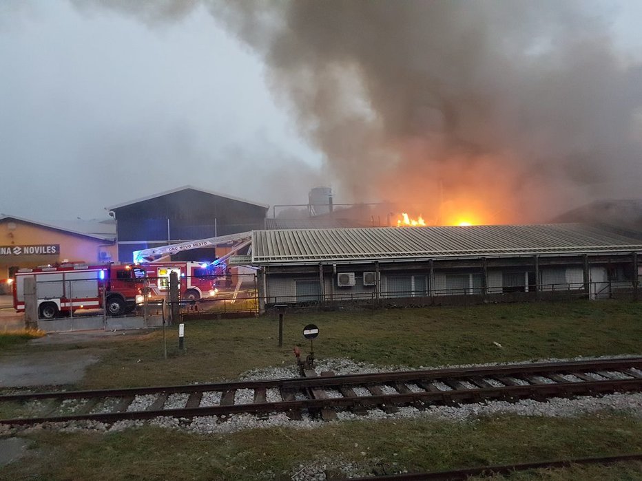 Fotografija: Požar. FOTO: Dolenjskanews Delo