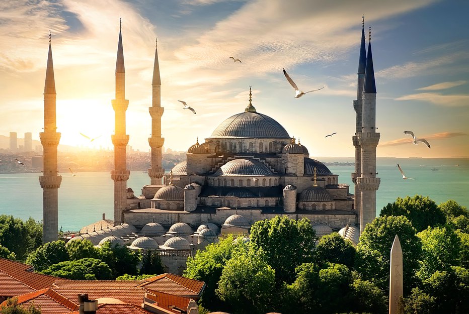 Fotografija: Istanbul vam ne bo ponudil le močne kulturne injekcije, ampak postreže tudi z morda največjim spektaklom migracije ptic.
