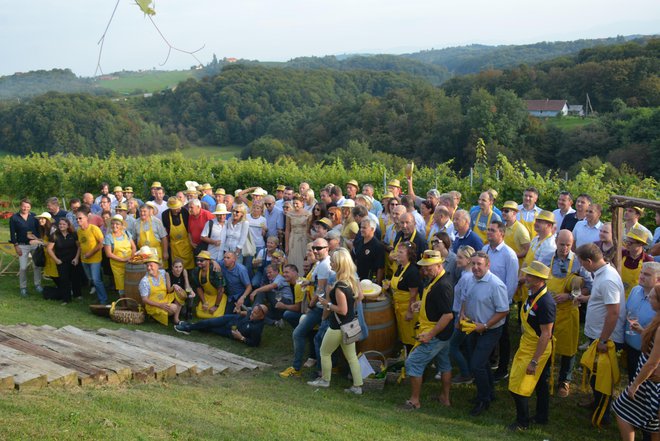 Približno 150 izbranih prijateljev vina se je udeležilo 3. VIP-trgatve vinarja Puklavec Family Wines. FOTO: Oste Bakal