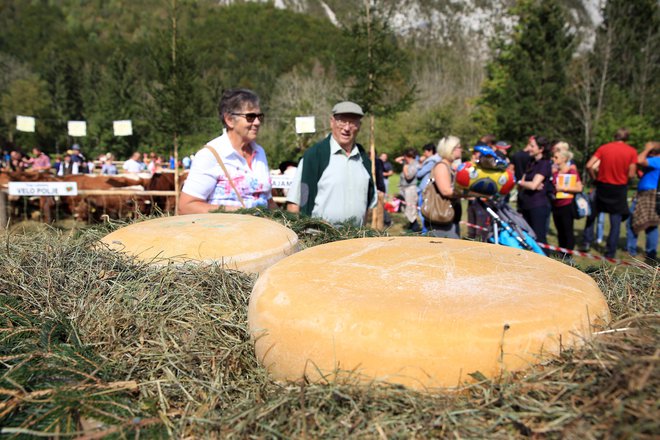 Bohinjski sir je zaščitena blagovna znamka od leta 1999, pod vodstvom švicarskega sirarja Tomaža Hitza so ga začeli na Bitenjski planini izdelovati že leta 1873. Foto: Arhiv TD Bohinj