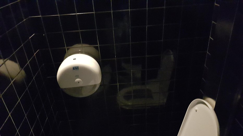 Fotografija: Toaletnega papirja je dopoldne že zmanjkalo ... FOTO: A. L.