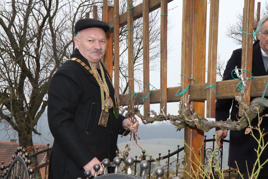 Fotografija: Zlatko Borak, častni predsednik in slovenski vinski vitez, ki je pred 15 leti ustanovil društvo, se je pogumno lotil reza.