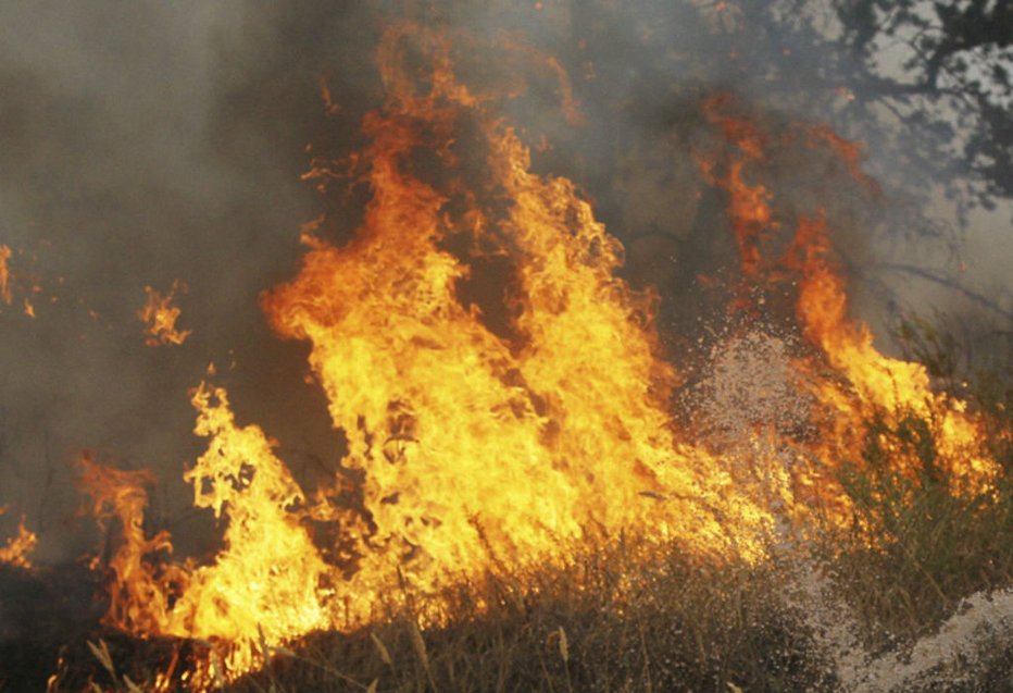 Fotografija: Ogenj bi bil skoraj usoden za kmetovalca. Fotografija je simbolična.