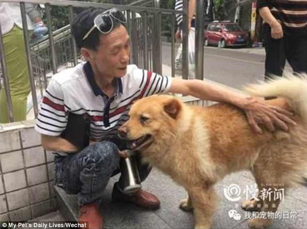 Gospod Chen je razkril, da je njegov pes star 15 let.