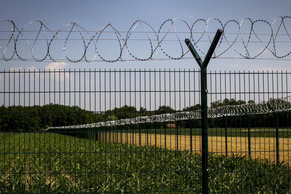 Fotografija: Žičnata ograja pri Razkrižju. FOTO: Voranc Vogel, Delo