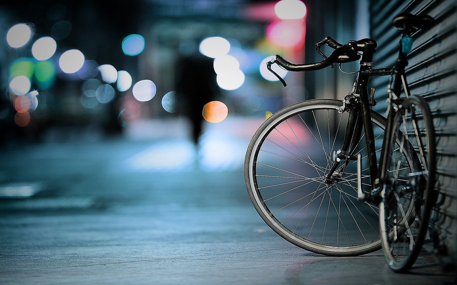 Fotografija: Pripeljali so se na kolesih. FOTO: Pixabay