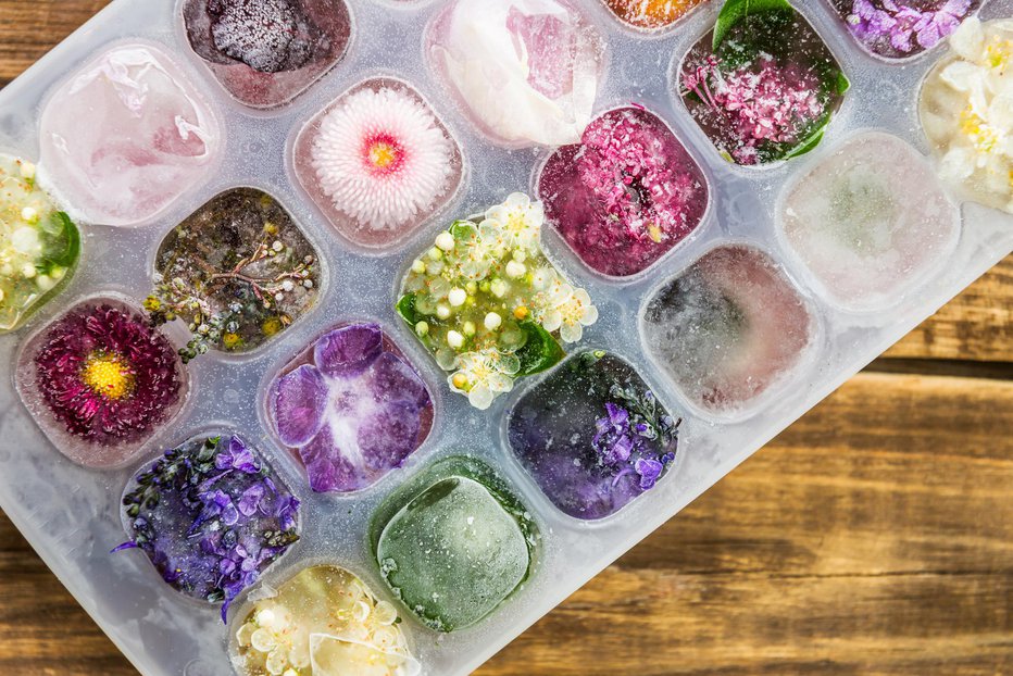 Fotografija: S cvetličnimi ledenimi kockami bo vsaka pijača prijetnejša na pogled. FOTO: Thinkstock