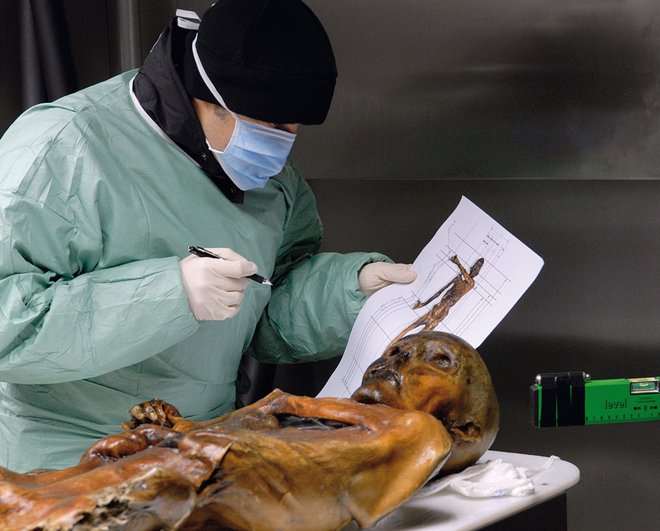Znanstveniki že desetletja proučujejo najslavnejšo evropsko mumijo. FOTO: Muzej arheologije Bolzano