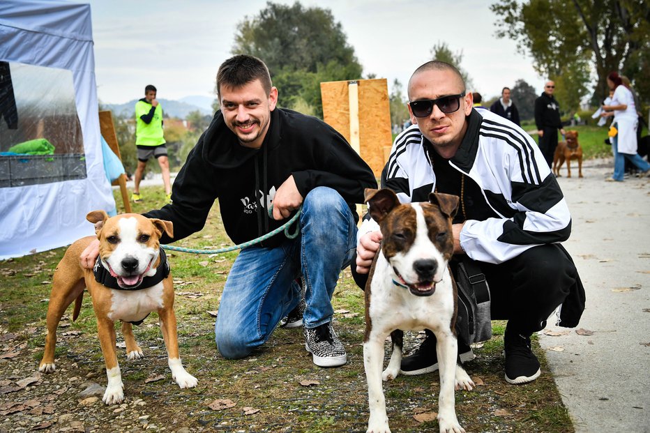 Fotografija: Trkaj in Nipke sta spoznala Pašo in Nira, nekoč bojna psa. FOTO: MARKO PIGAC