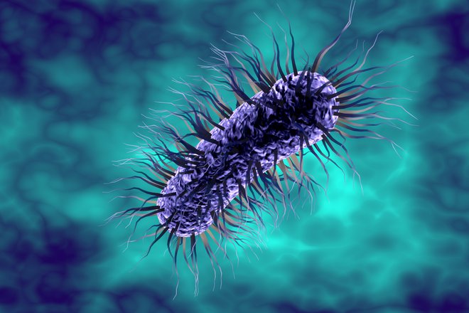 Escherichia coli bo prva razvila popolno odpornost.