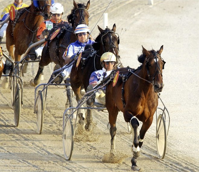 V ponudbi Športne loterije so zaživele tudi napovedi dirk konj. FOTO: Bongarts/getty Images