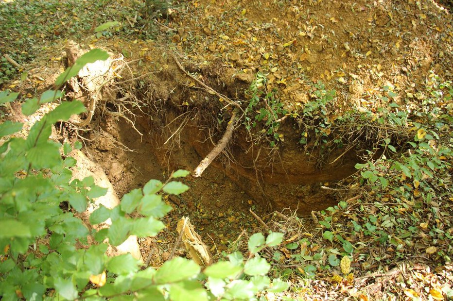 Fotografija: Jama, ki jo je sicer dal izkopati, da bi vanjo zagrenil sinove stvari, bi bila kaj lahko tudi Lazarevićev grob. FOTO: Tanja Jakše Gazvoda