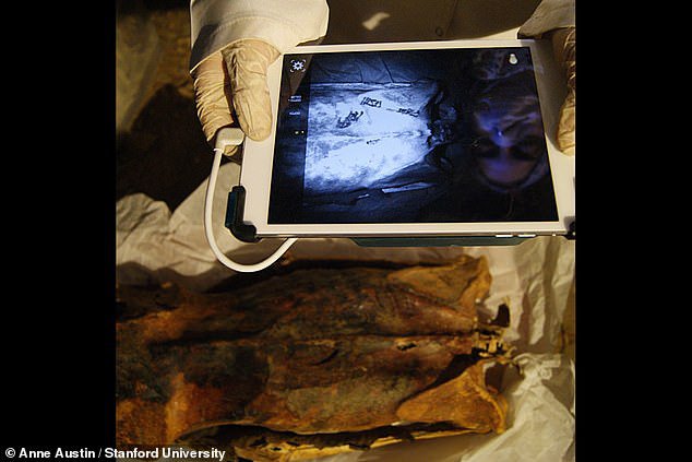 Fotografija: Mumijo so skrbno pregledali in naleteli na vznemirljivo odkritje. FOTO: Univerza Stanford