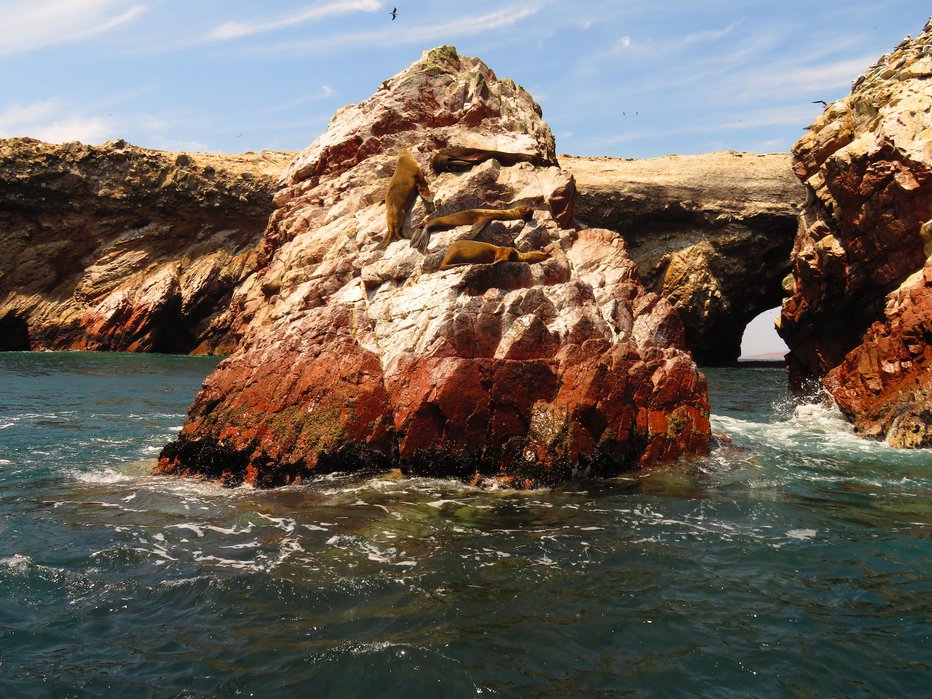 Fotografija: Otočje Islas Ballestas je raj za ptice in morske lenuhe, pardon, leve.