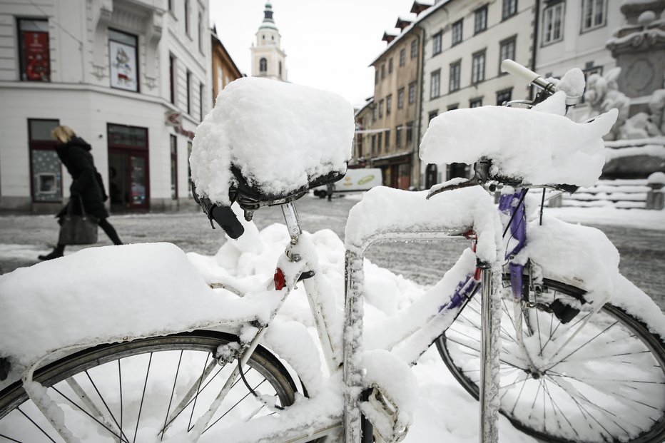 Fotografija: Simbolična fotografija. FOTO: Uroš Hočevar, Delo