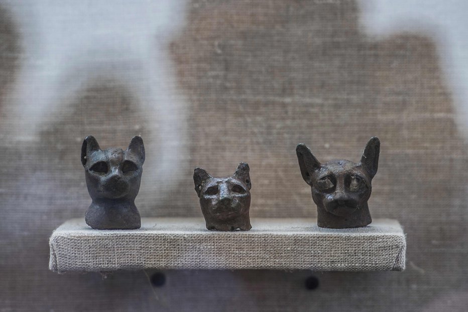 Fotografija: Podobo mačke sta imeli dve pomembni egipčanski boginji. FOTOgrafije: Afp