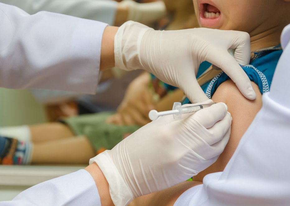 Fotografija: Država je predpisala obvezno cepljenje proti steklini. FOTO: Shutterstock