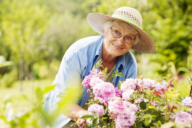Vrtnarjenje je ena priljubljenih dejavnosti na prostem in je dobra za telo in duha. FOTOgrafiji: Guliver/Getty Images