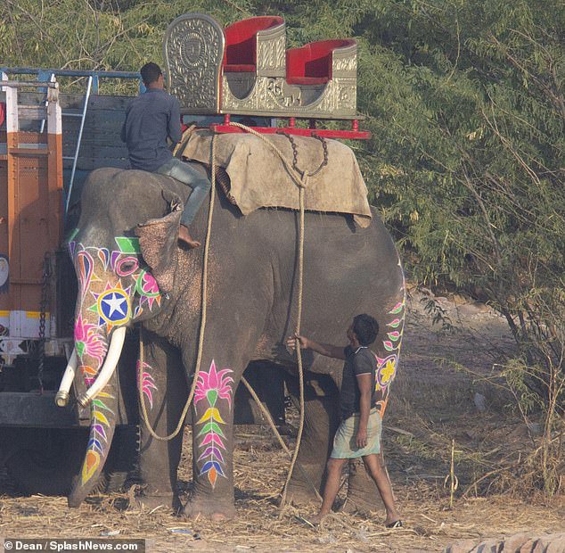 Zaljubljenca sta do obrednega poročnega prostora prijahala na slonu.