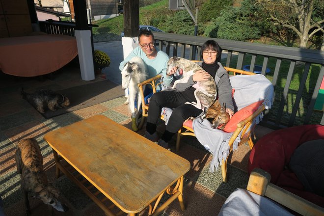 Marta Jakomin in Andrej Kerpan s psi na verandi FOTOGRAFIJE: JANEZ PETKOVŠEK