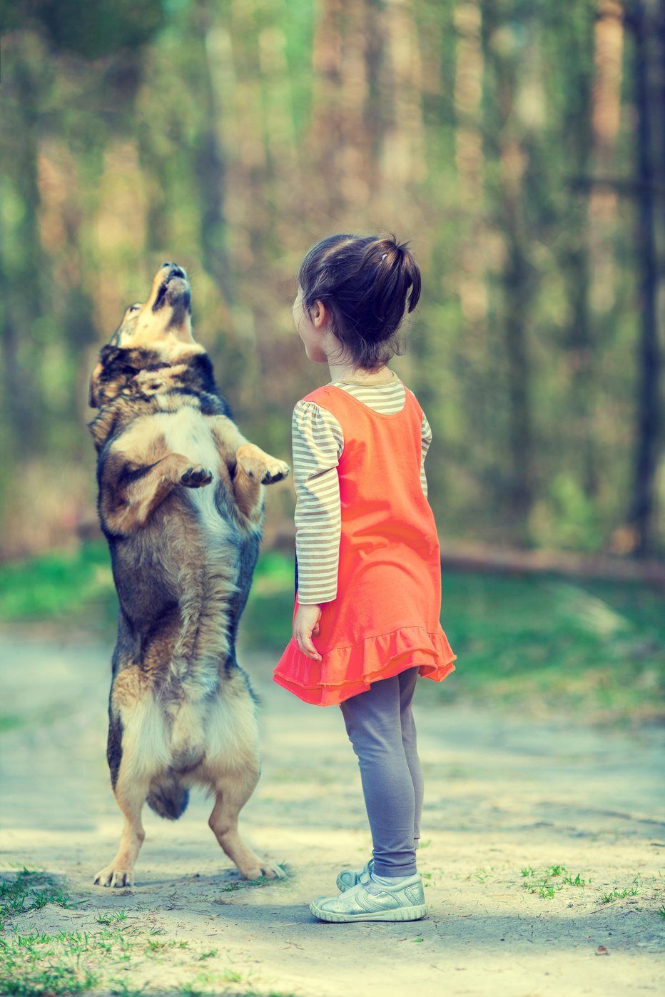 Fotografija: Če otroci še ne morejo sodelovati v tečaju, lahko psa pod vodstvom staršev doma učijo različne trikce. Foto: Guliver/Getty Images